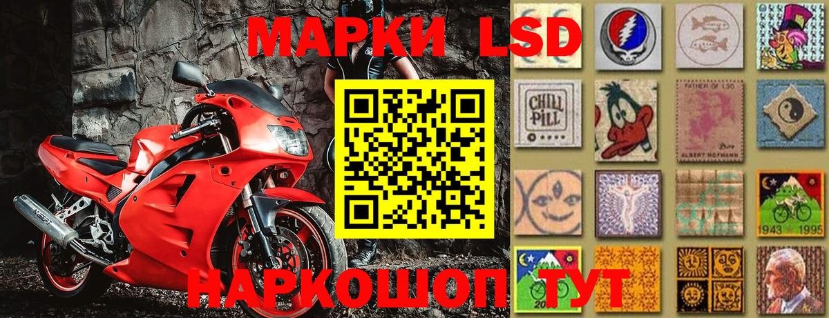 Губкин  Марки 25I-NBOMe 1,8мг  как найти закладки  Вход с VPN 